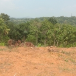 Property Before Development