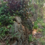 Property Before Development